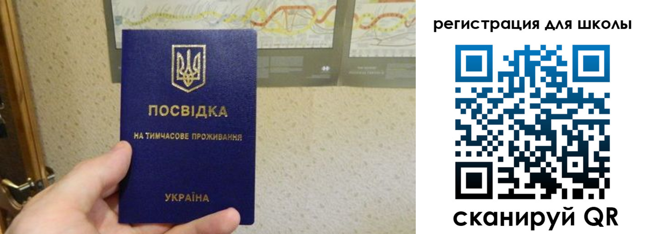 временная прописка в Электростали